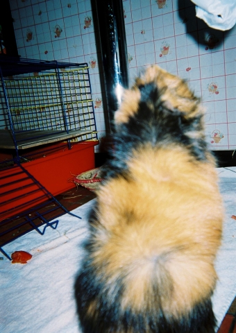 De dos debout